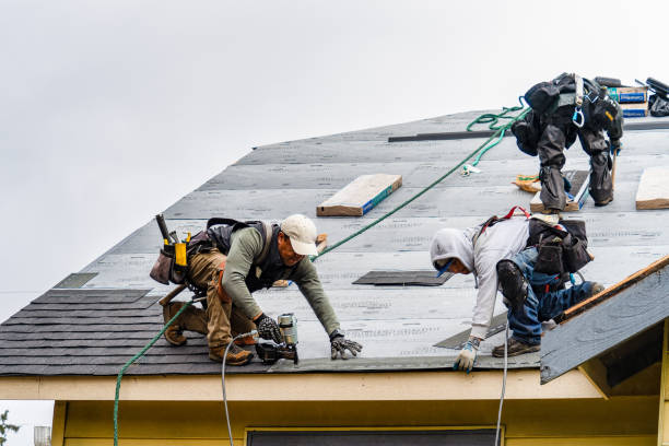 Professional Gutter Installation technician working in Lobelville, TN
